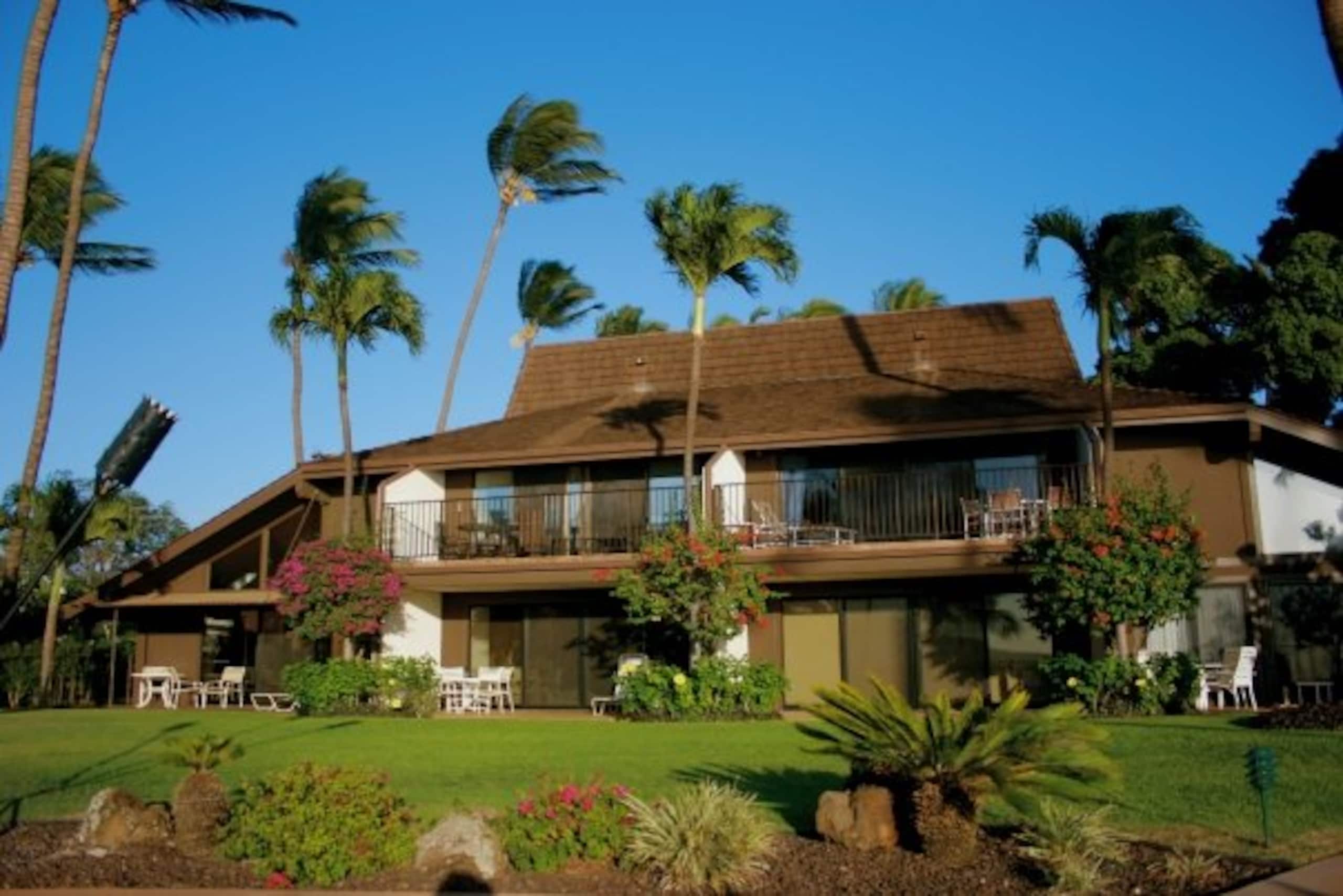 Condo in Kihei · ★4.97 · 2 bedrooms · 2 beds · 2 baths - Image 65