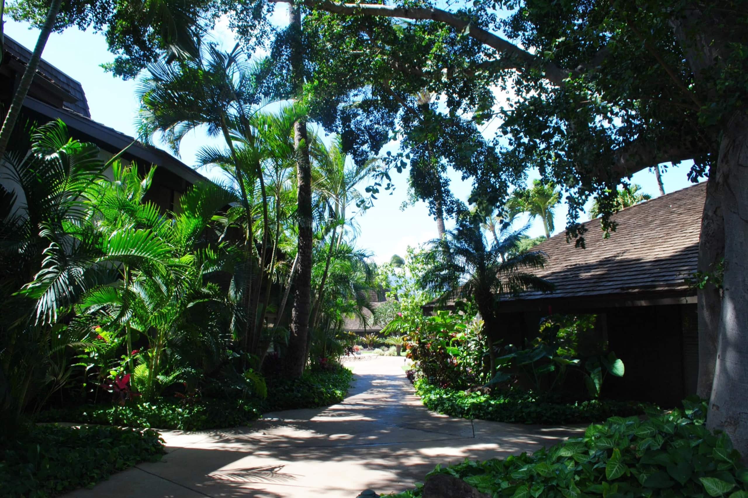 Condo in Kihei · ★4.97 · 2 bedrooms · 2 beds · 2 baths - Image 62