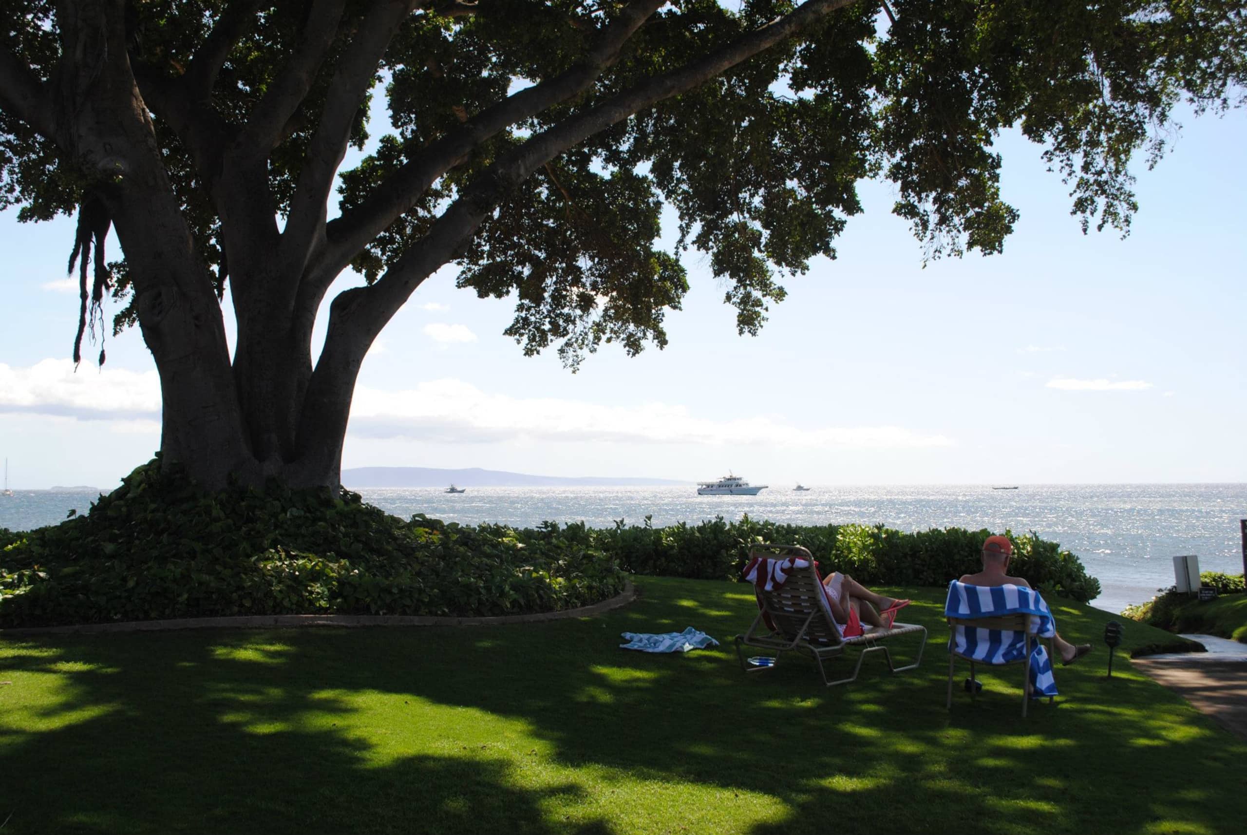 Condo in Kihei · ★4.97 · 2 bedrooms · 2 beds · 2 baths - Image 60