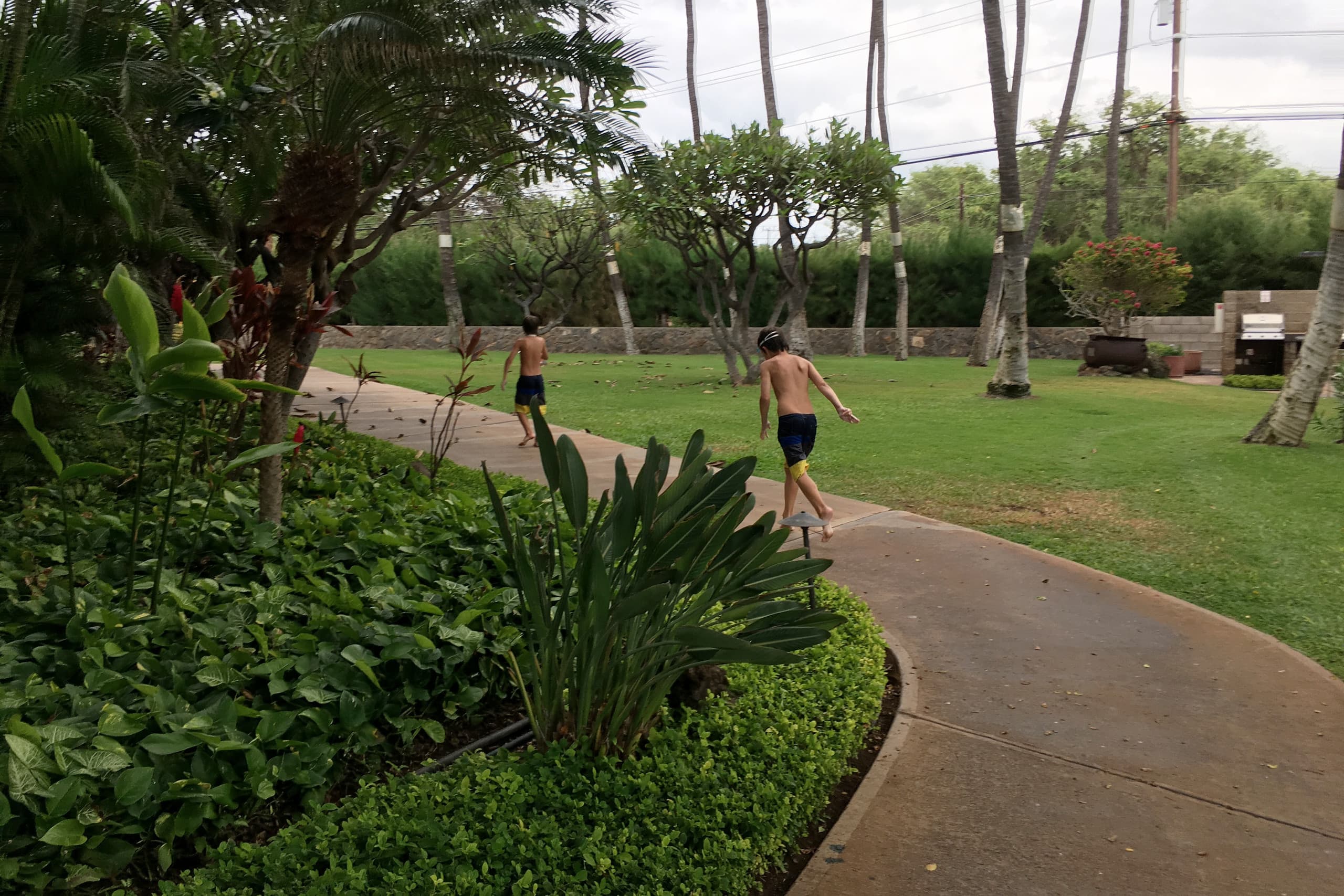 Condo in Kihei · ★4.97 · 2 bedrooms · 2 beds · 2 baths - Image 71