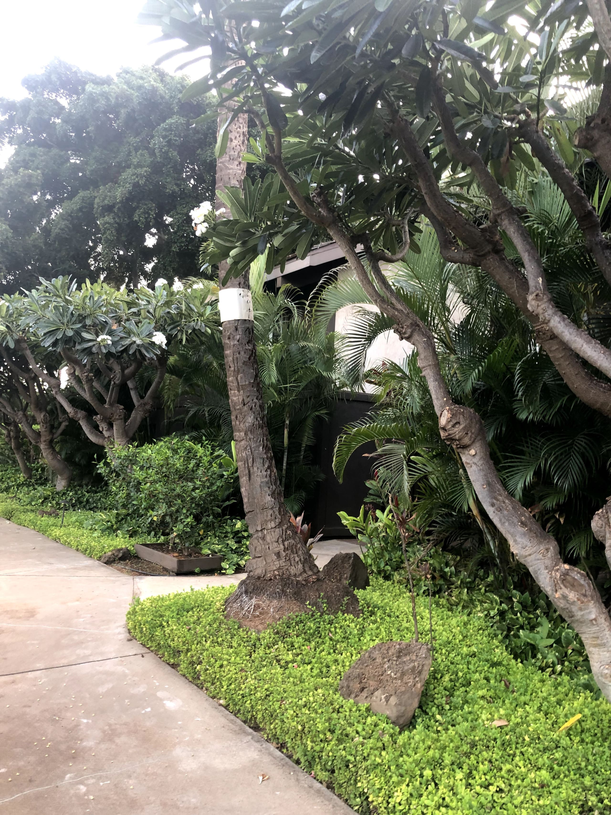 Condo in Kihei · ★4.97 · 2 bedrooms · 2 beds · 2 baths - Image 75