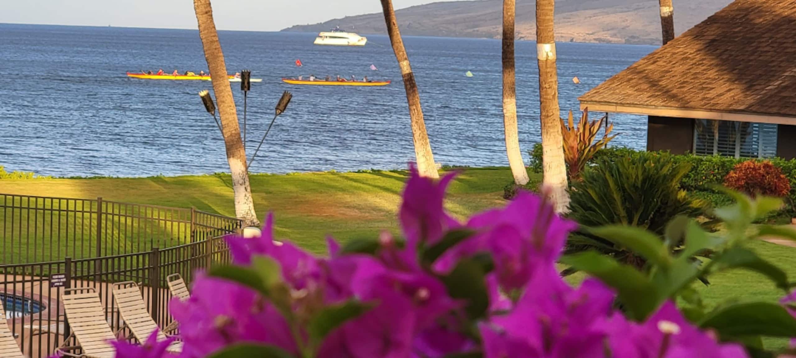 Condo in Kihei · ★4.97 · 2 bedrooms · 2 beds · 2 baths - Image 54
