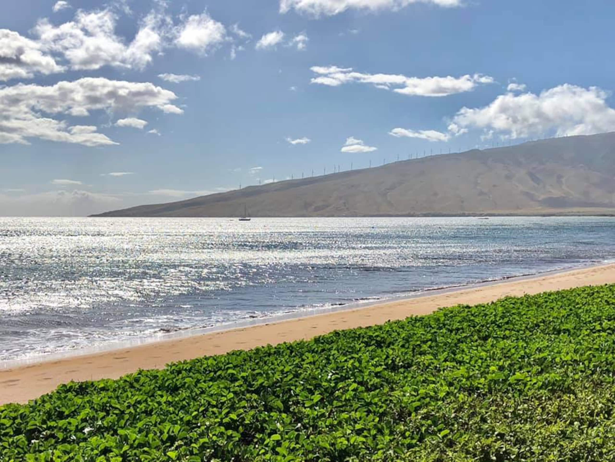 Condo in Kihei · ★4.97 · 2 bedrooms · 2 beds · 2 baths - Image 84