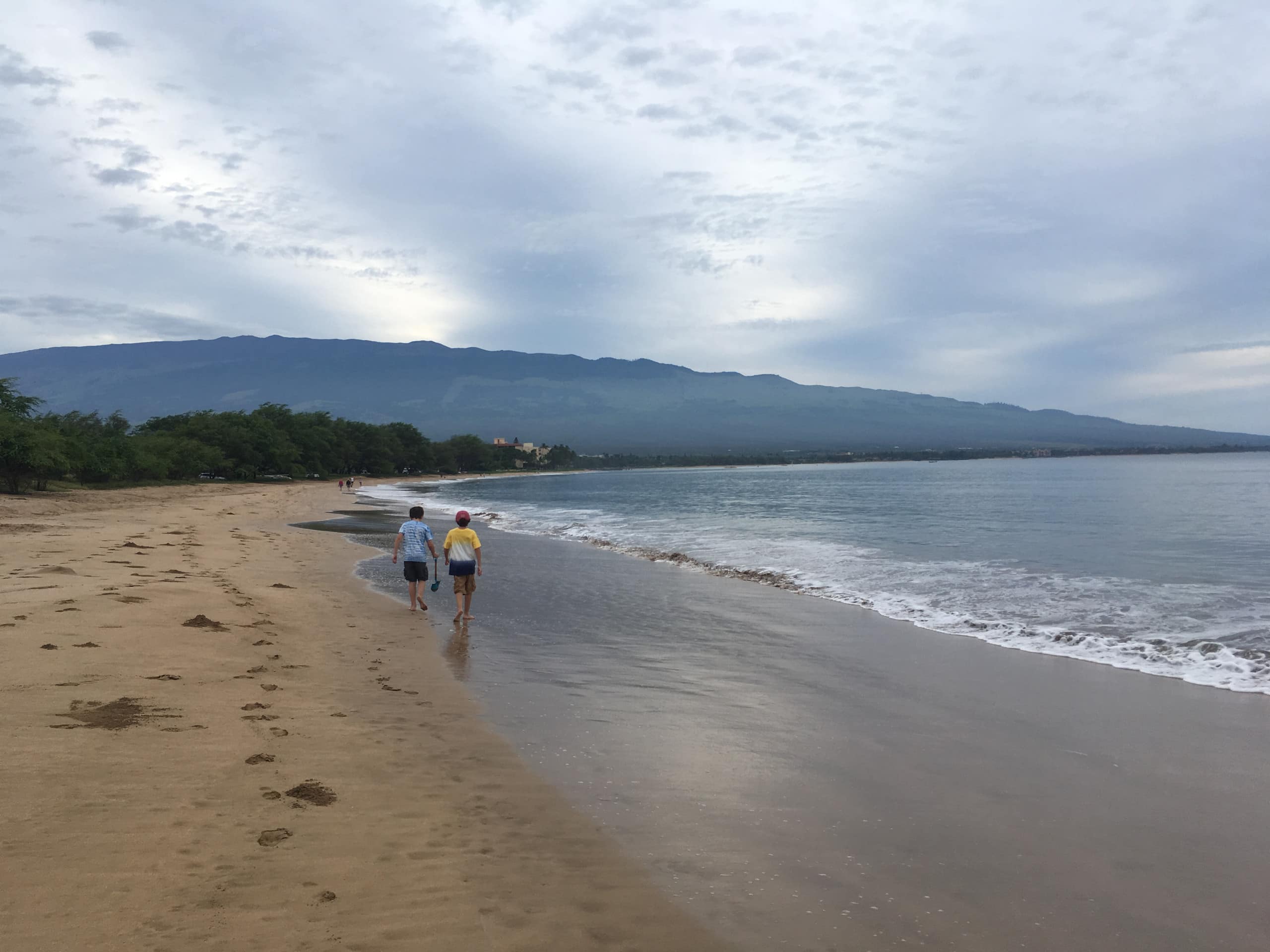 Condo in Kihei · ★4.97 · 2 bedrooms · 2 beds · 2 baths - Image 83