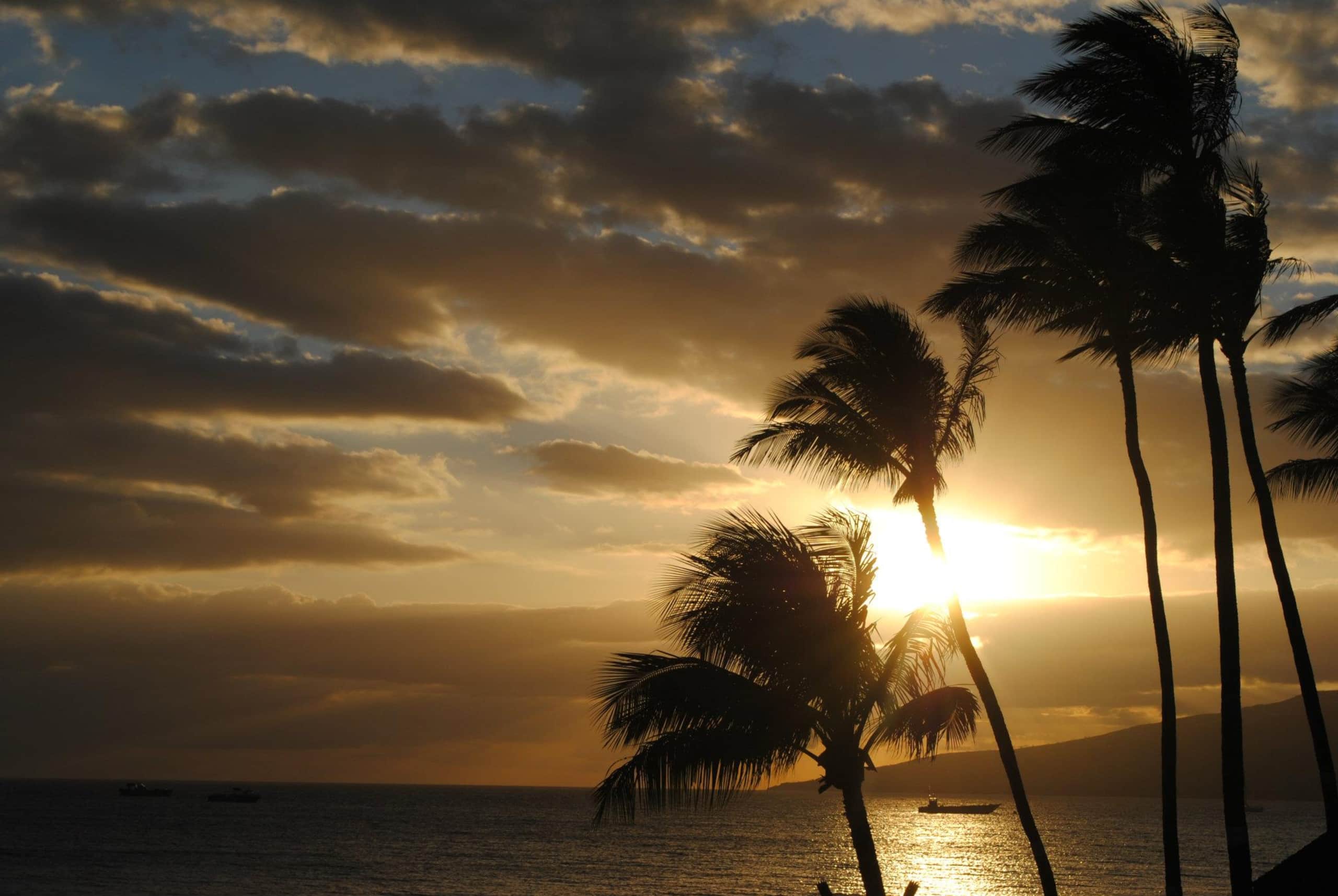 Condo in Kihei · ★4.97 · 2 bedrooms · 2 beds · 2 baths - Image 96