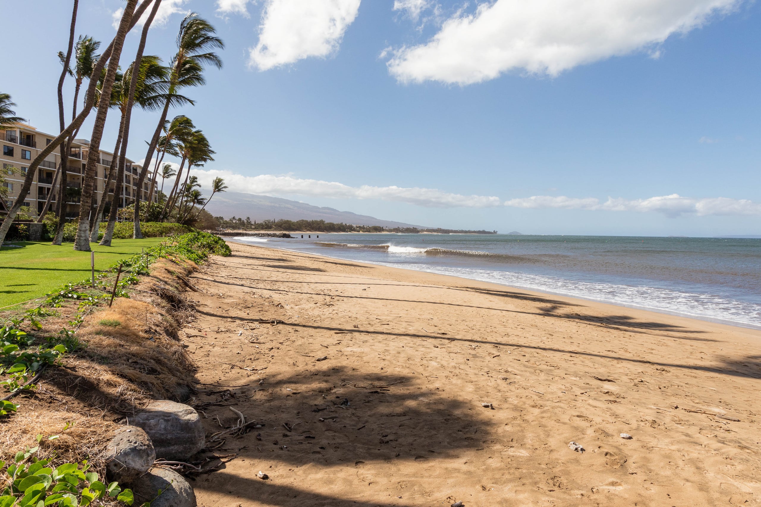 Condo in Kihei · ★4.97 · 2 bedrooms · 2 beds · 2 baths - Image 57