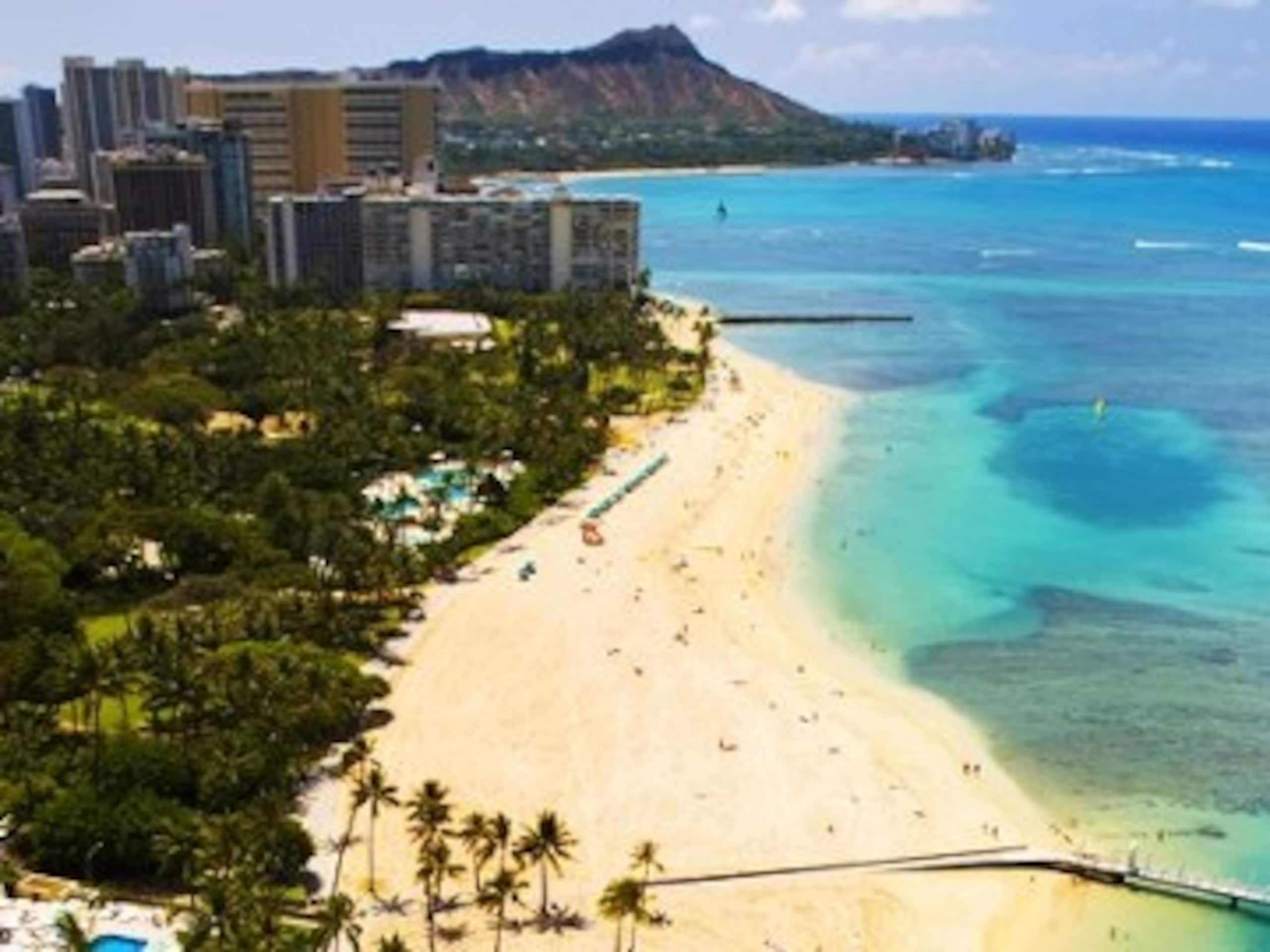 Condo in Honolulu · ★4.68 · Studio · 2 beds · 1 private bath - Image 17