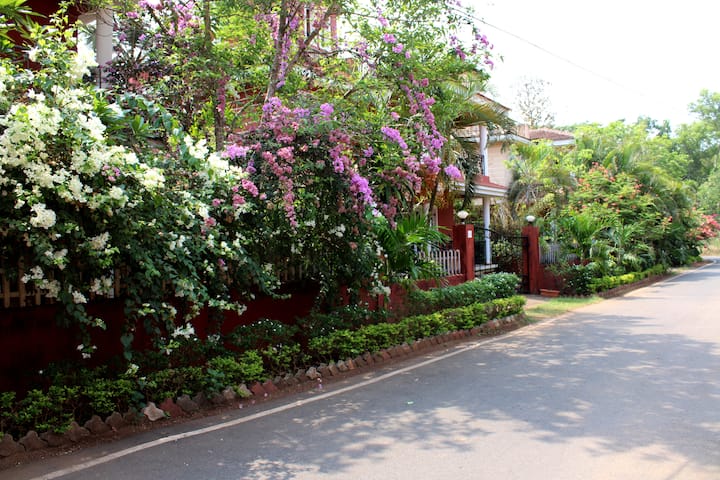 Listing image 22