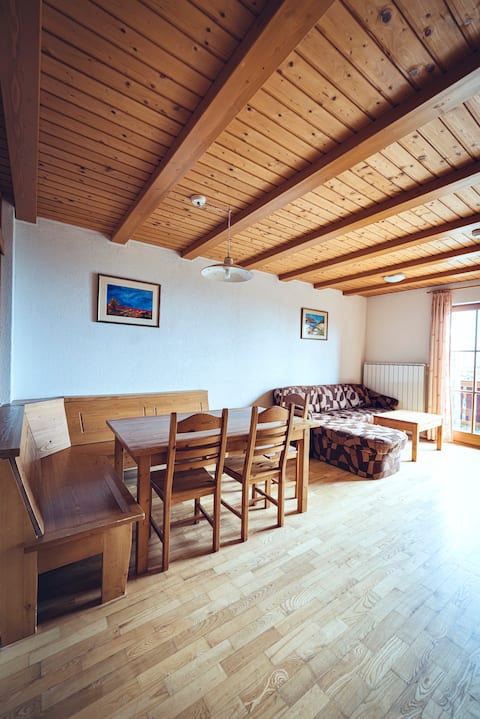 Apartment with balcony- Forest Apartments Videc 3*