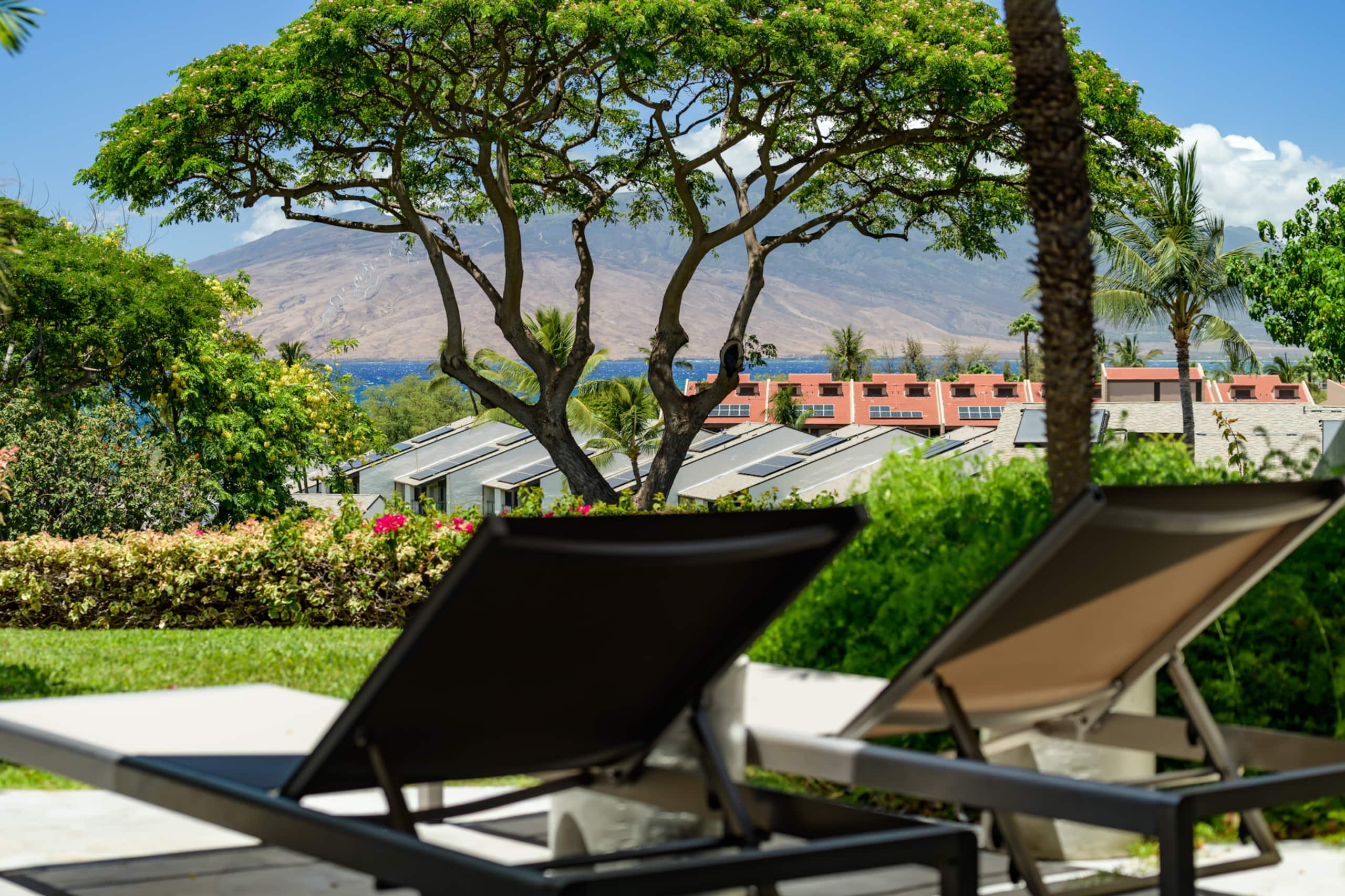 Condo in Kihei · ★4.98 · 1 bedroom · 1 bed · 2 baths - Image 1