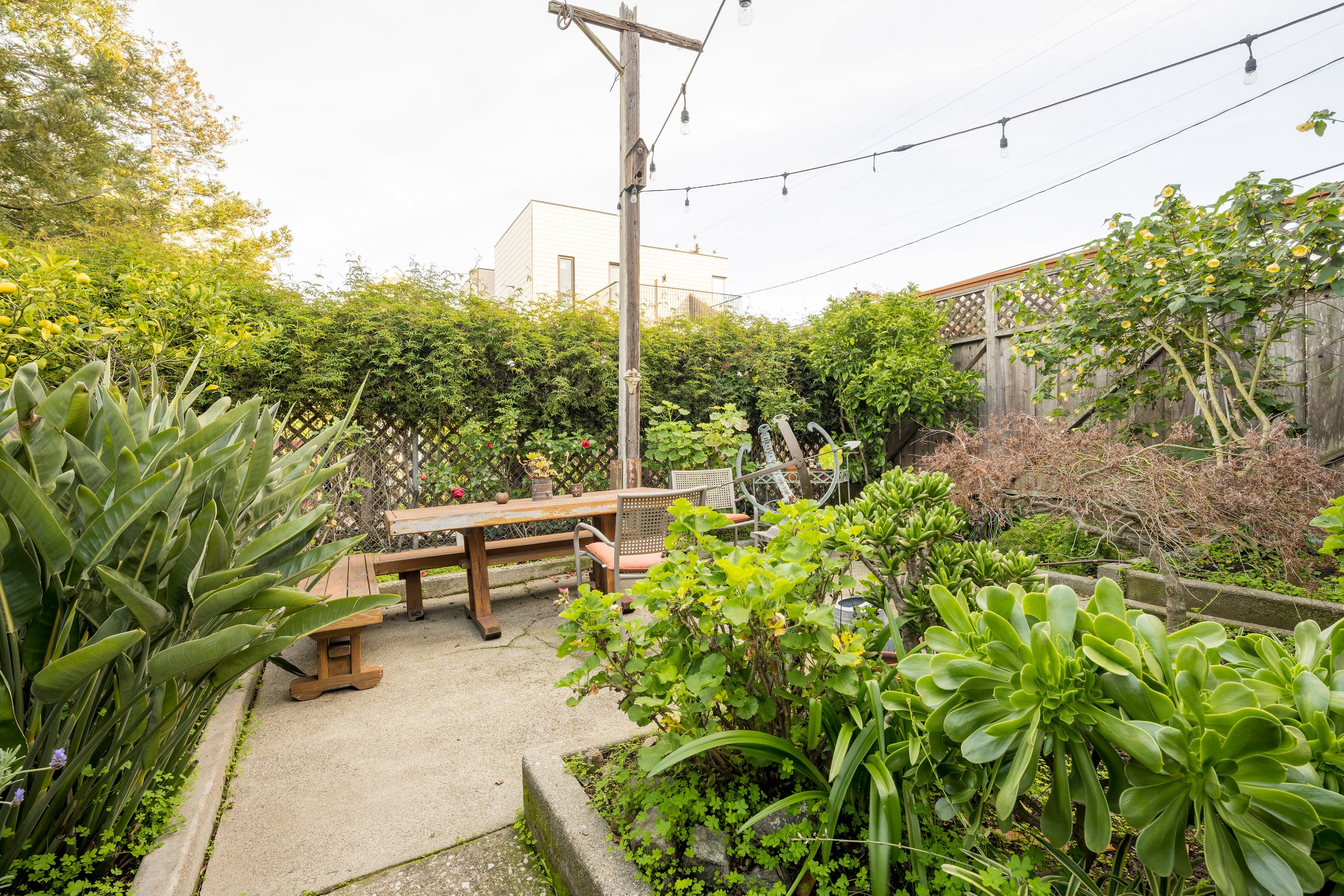 Home in San Francisco · ★4.97 · 2 bedrooms · 2 beds · 1 bath - Image 22
