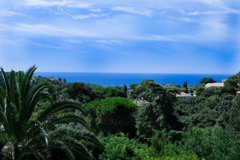 Saint Tropez peninsula| Sea view| Pool| Provencal