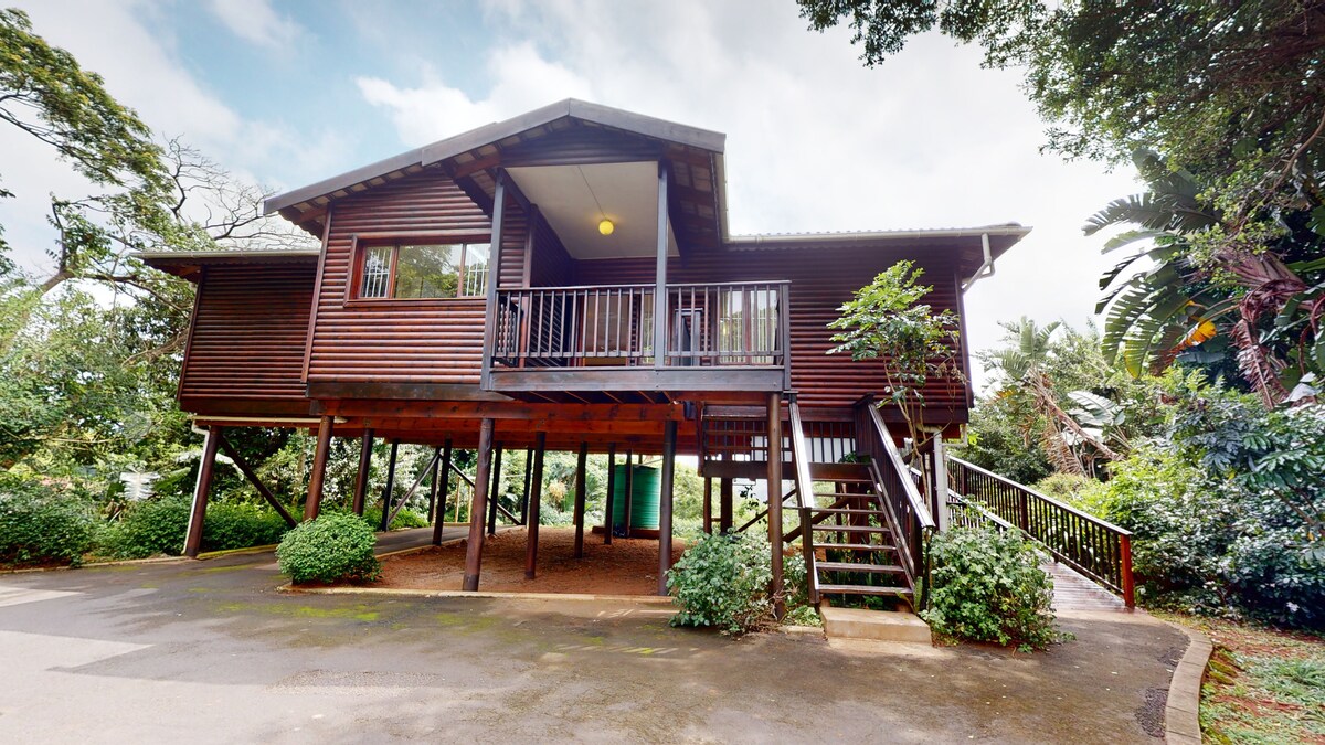A wooden house elevated on stilts is surrounded by greenery, providing a natural setting. A ramp and steps lead to the entrance, ensuring accessibility. The structure features a balcony with a railing, inviting outdoor relaxation. Lush shrubs frame the property, enhancing the tranquil atmosphere.