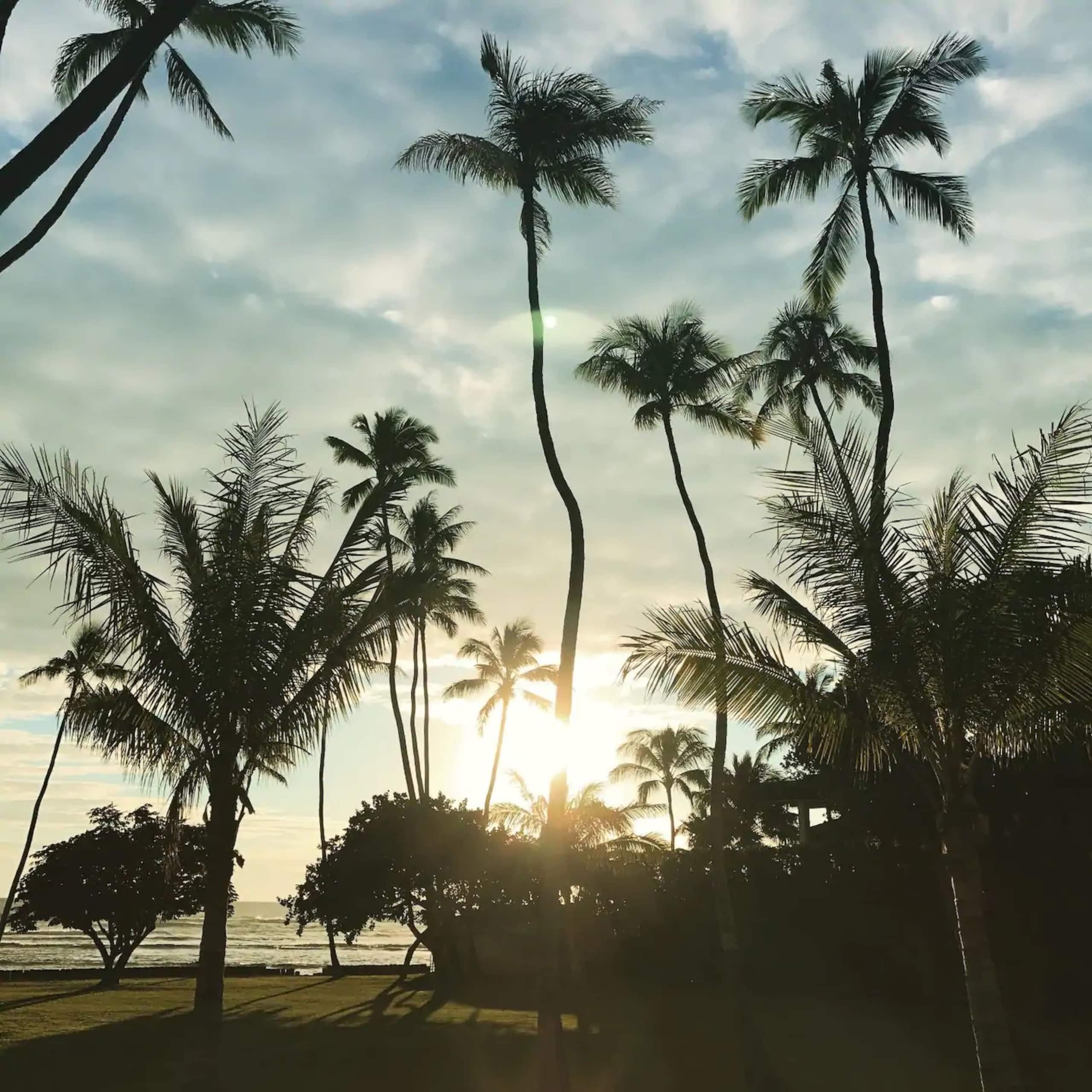 Condo in Honolulu · ★4.98 · 1 bedroom · 1 bed · 1 private bath - Image 30