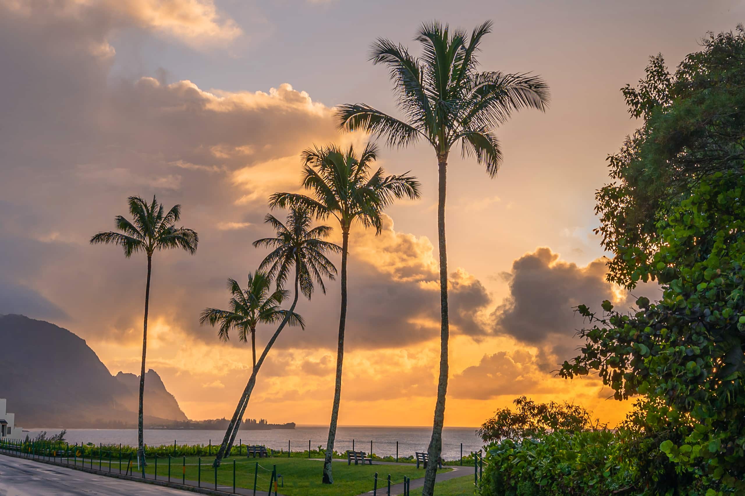 Condo in Princeville · ★4.99 · Studio · 1 bed · 1 bath - Image 14