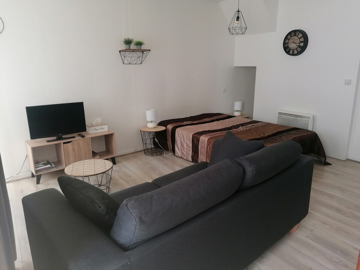 A studio space is presented with a cozy seating area featuring a dark sofa. The sleeping area includes a spacious bed adorned with a patterned coverlet. A television is positioned on a minimalist wooden stand, while decorative elements like plants are suspended on the walls.