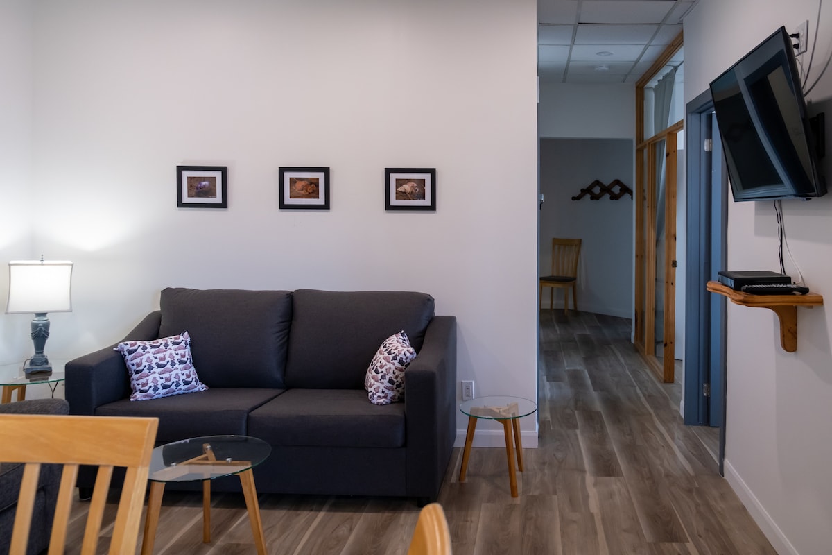 เตียงโซฟาคู่ในห้องนั่งเล่นและทีวีขนาด 40 ตารางฟุต