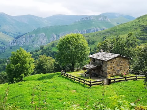 Lo María: cozy cabin surrounded by nature