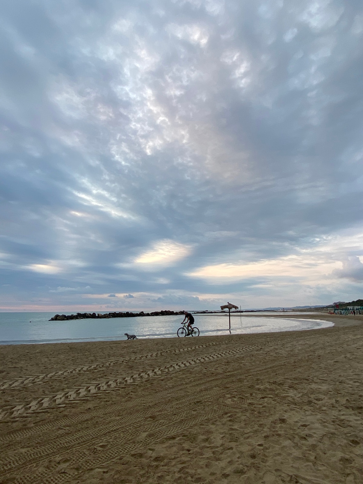 A sandy beach is depicted with gentle waves lapping at the shore, where a person rides a bicycle alongside a dog. The sky above is filled with textured clouds, creating a soft light reflected on the water's surface.