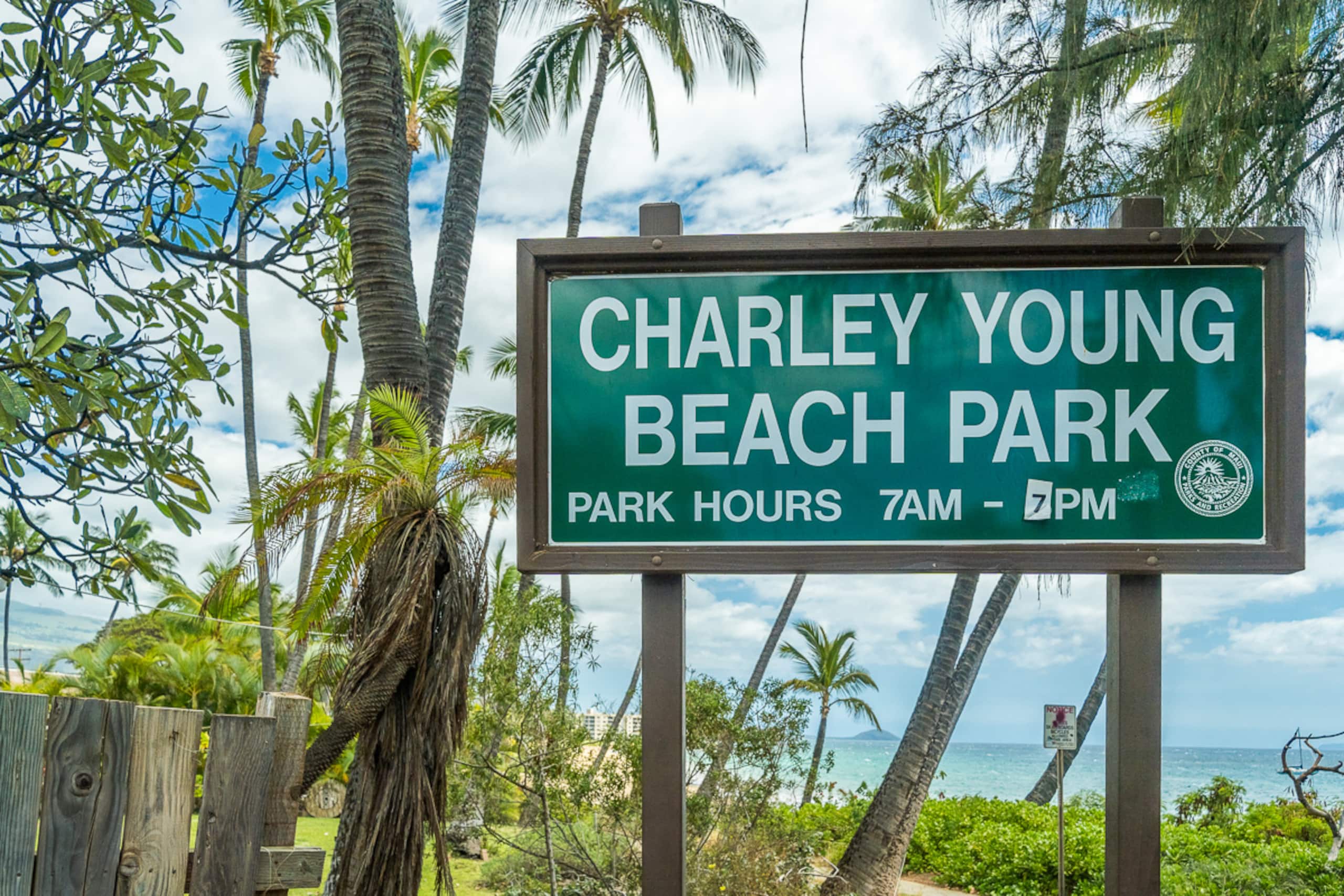 Condo in Kihei · ★4.94 · 1 bedroom · 1 bed · 1 bath - Image 49