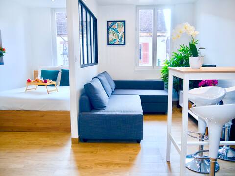 Annonce Airbnb populaire: 🌷Oasis in the Heart of the City 🌺 SENS 🏰 à Sens