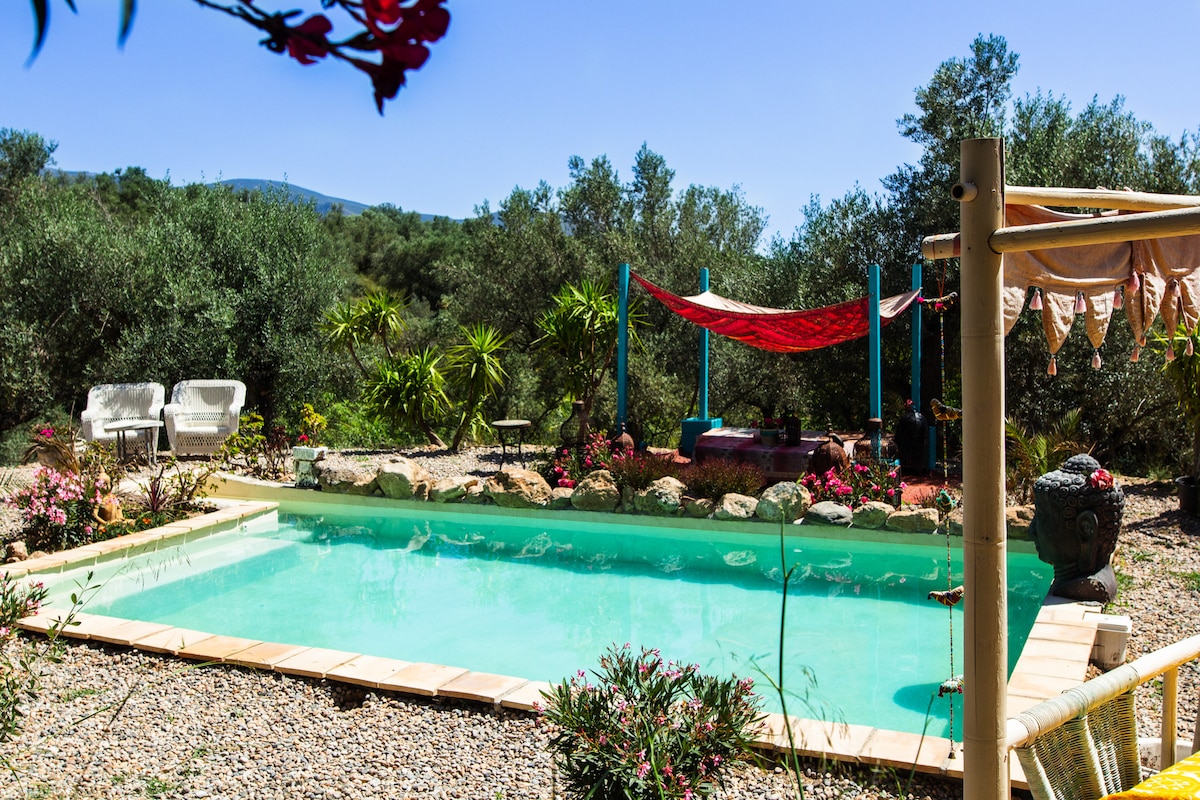 A tranquil swimming pool is framed by lush greenery and vibrant flowers. Comfortable outdoor seating is positioned nearby. A shaded area with colorful fabric provides a relaxing spot to enjoy the scenery, creating a serene environment ideal for unwinding.