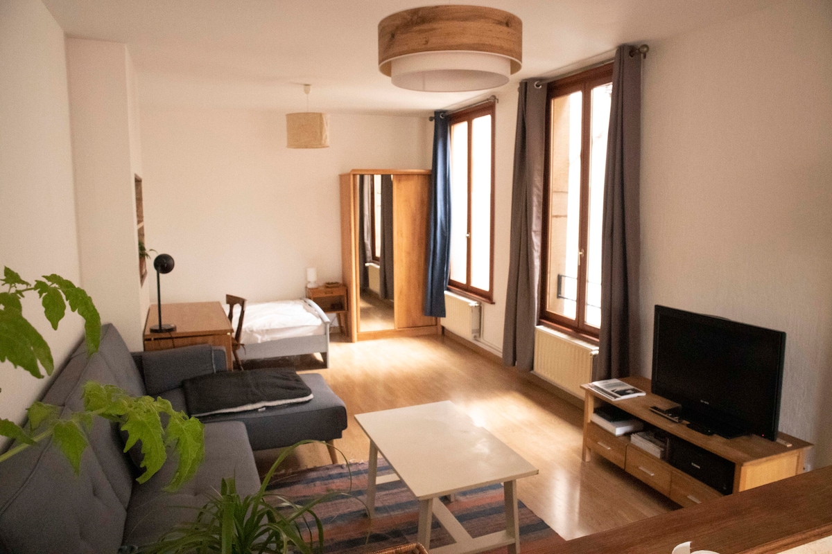 The spacious studio features a light-filled living area with large windows. A comfortable gray sofa and a simple coffee table are positioned on a patterned rug. A wooden wardrobe is visible, and a bed is seen in a separate corner, providing functional storage and sleeping areas.