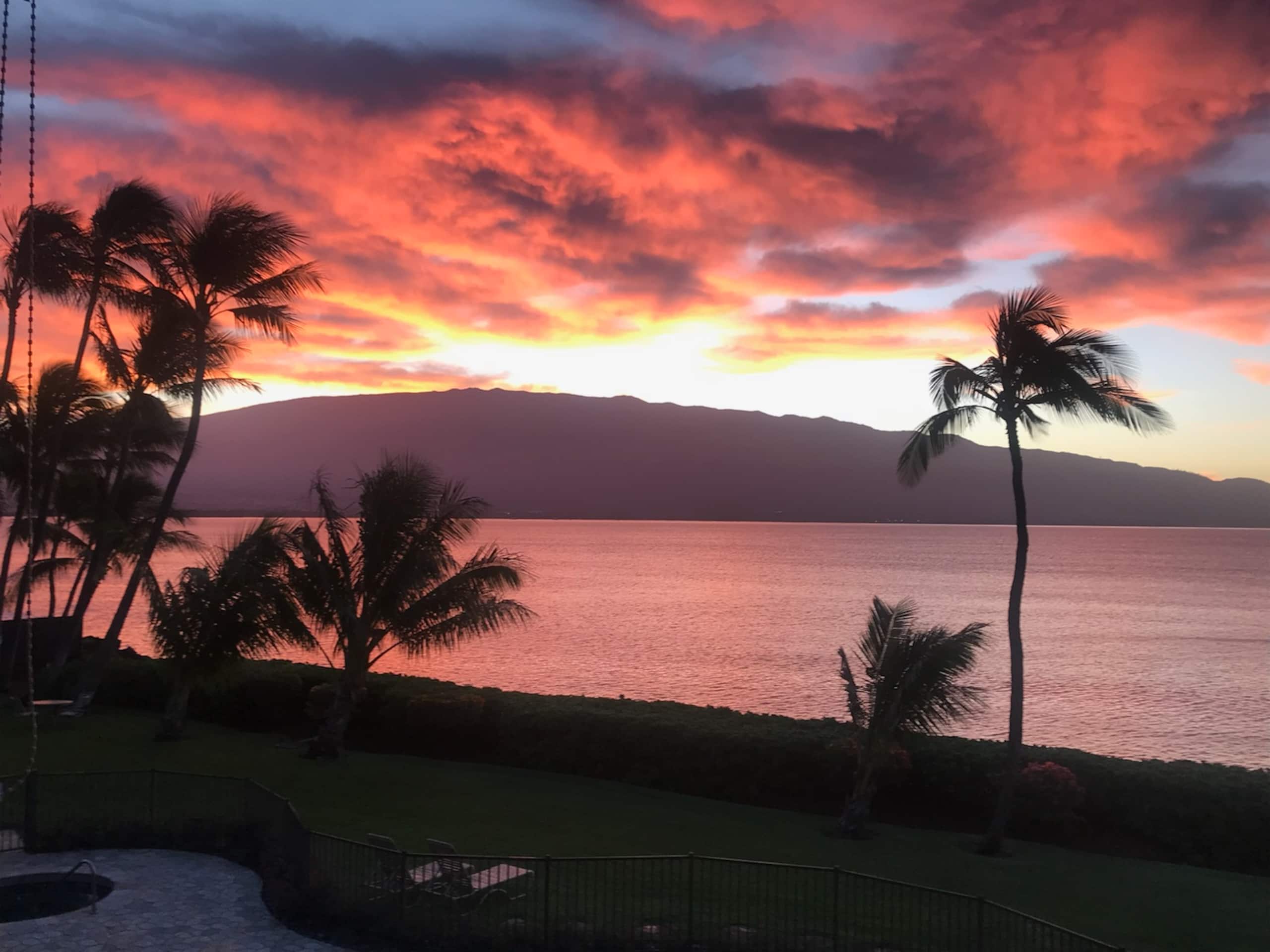 Condo in Wailuku · ★4.96 · 1 bedroom · 1 bed · 1 bath - Image 1