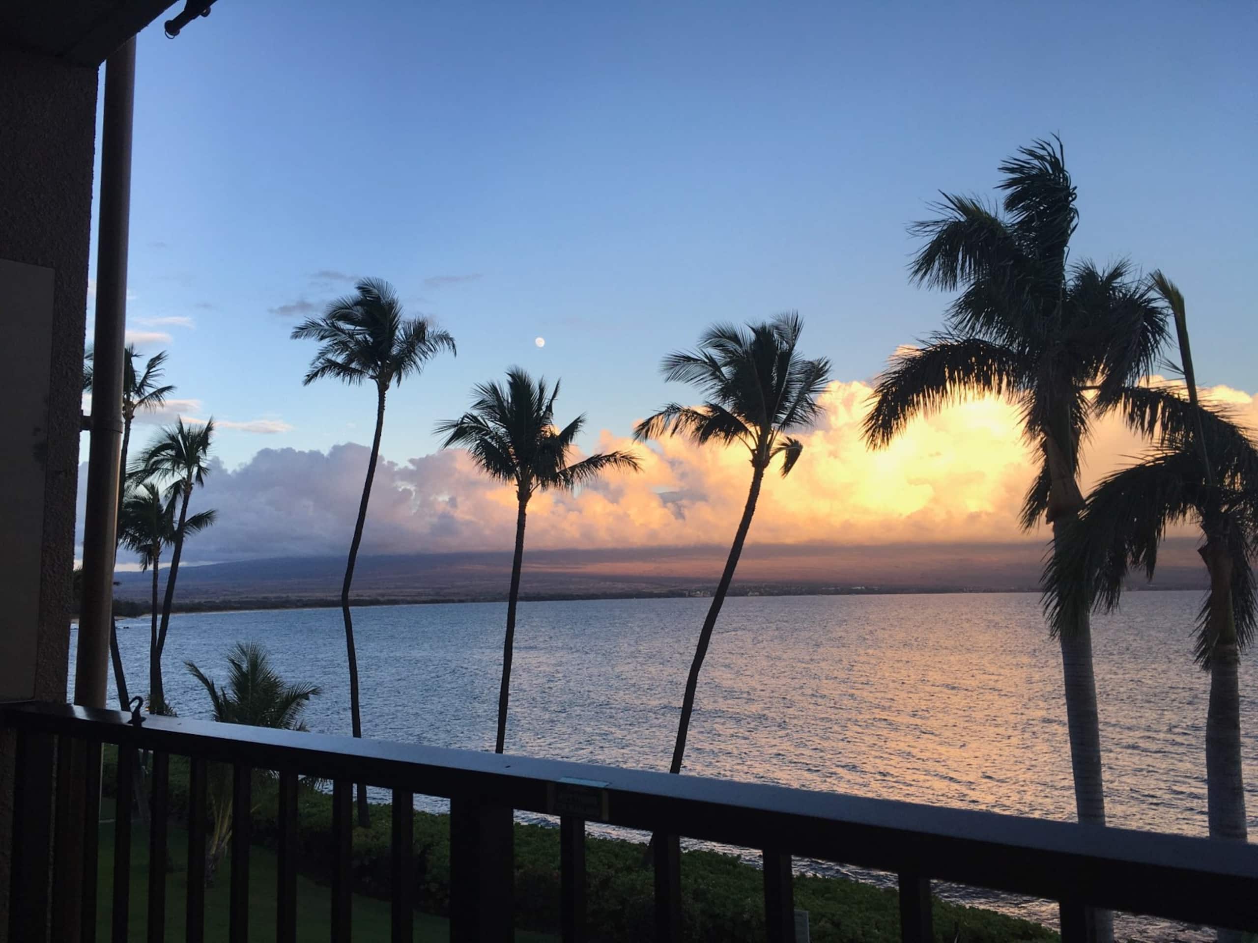 Condo in Wailuku · ★4.96 · 1 bedroom · 1 bed · 1 bath - Image 2