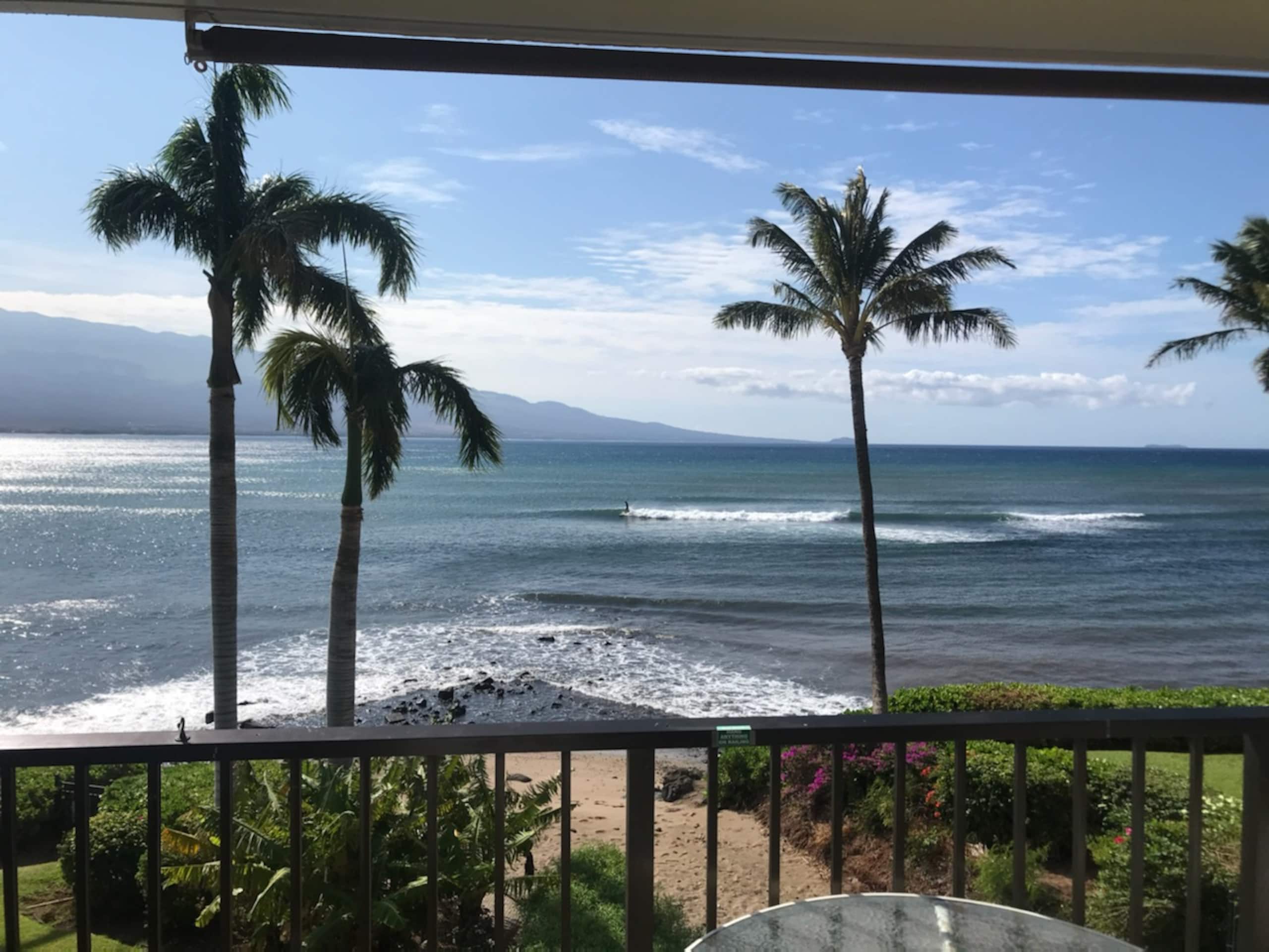 Condo in Wailuku · ★4.96 · 1 bedroom · 1 bed · 1 bath - Image 3
