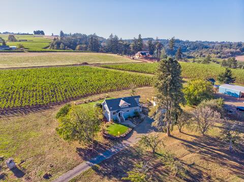 Stiling Vineyards~ A 3 bed/3 bath Luxury Farmhouse