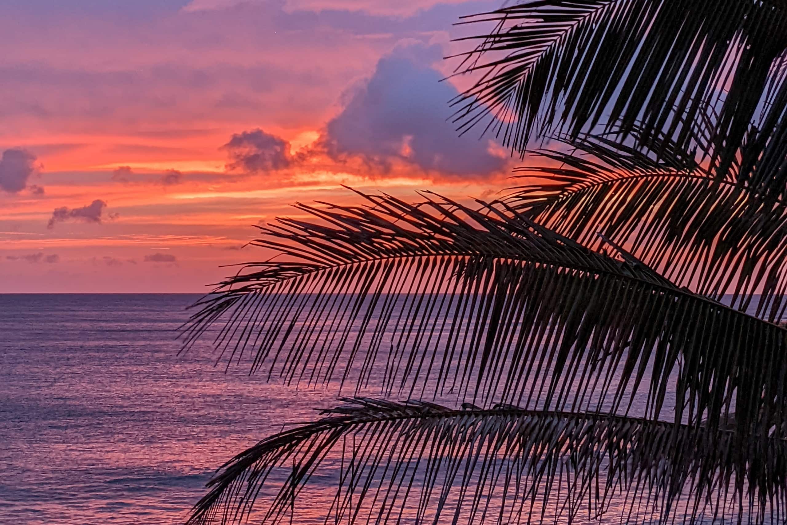Condo in Princeville · ★4.88 · Studio · 1 bed · 1 bath - Image 5
