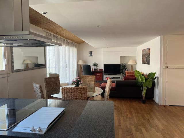 Superbe appartement proche du lac et de la Gare