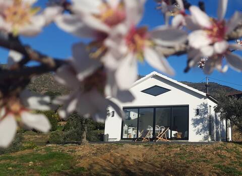 Casa do Losango - the Douro river as a border