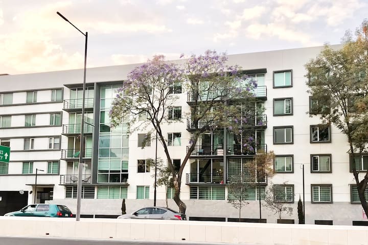 At the heart of restaurants and night life