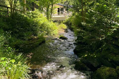Fabulous woodland lodge overlooking a waterfall