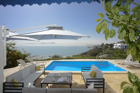 "La Demeure" Guesthouse – Sidi Bou Said