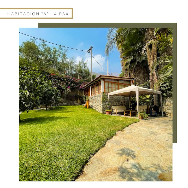 Habitación 1