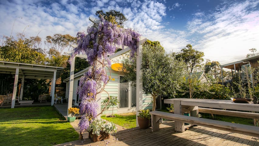 POINT LEO SURF SHACK