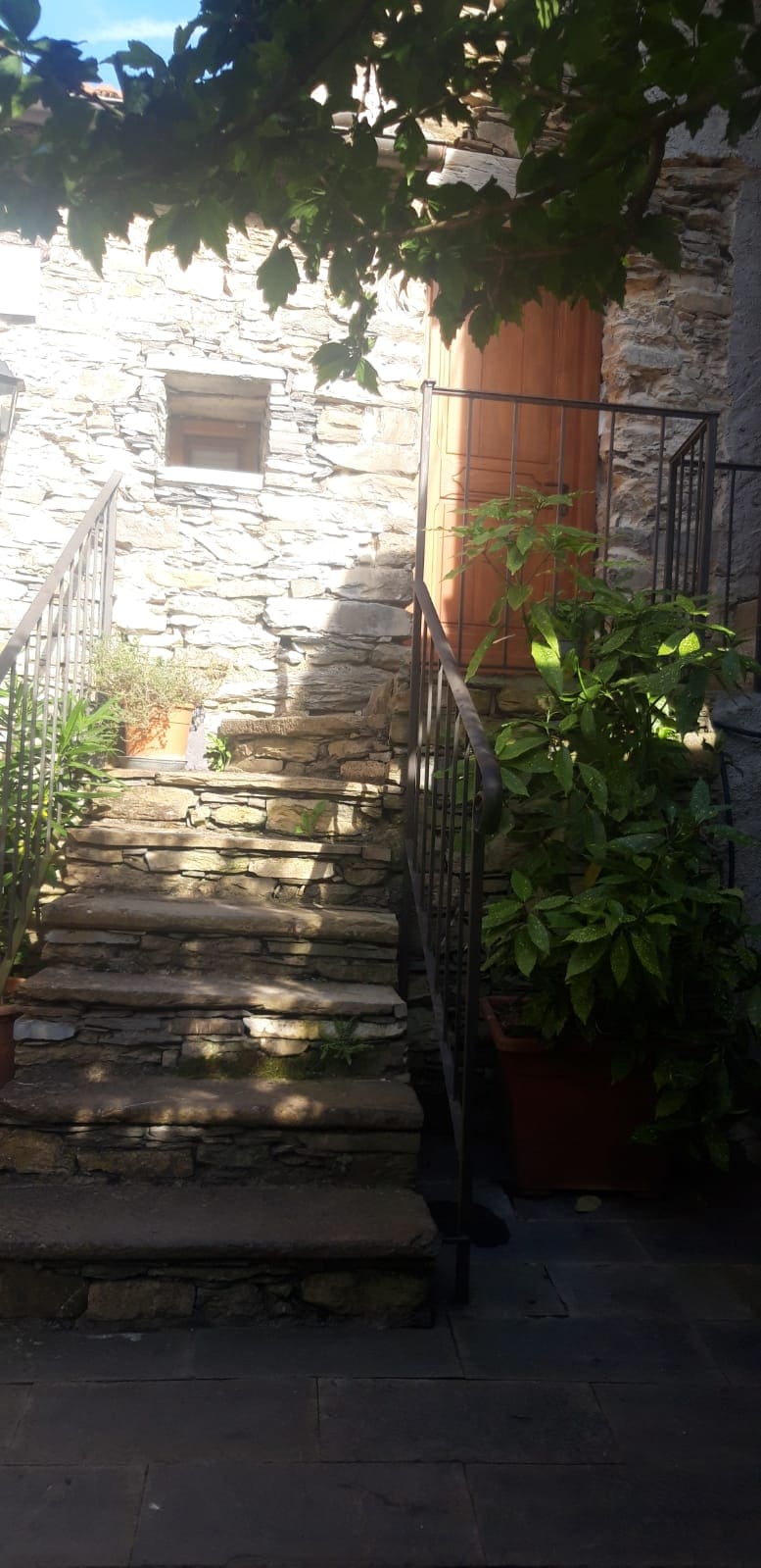 A stone staircase leads to a wooden door, surrounded by greenery. The steps are framed by a wrought iron railing, with sunlight casting shadows on the textured stone walls. Potted plants are positioned alongside the stairs, enhancing the natural setting.