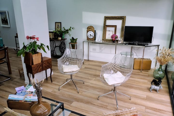 Maison De Charme, Véranda Jardin, Terrasses, Clim - Toulouse