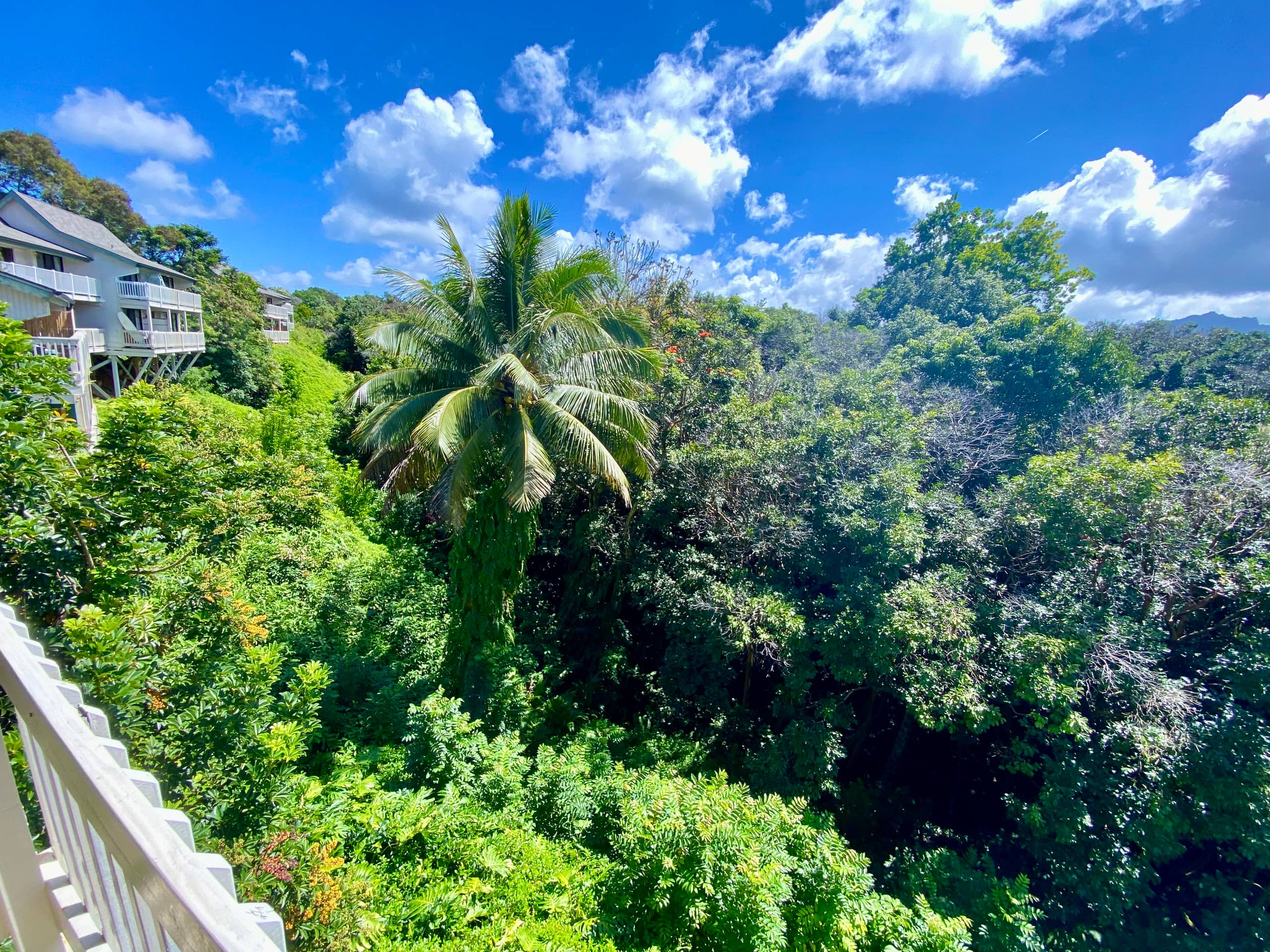 Princeville Paradise Cottage - Photo 17