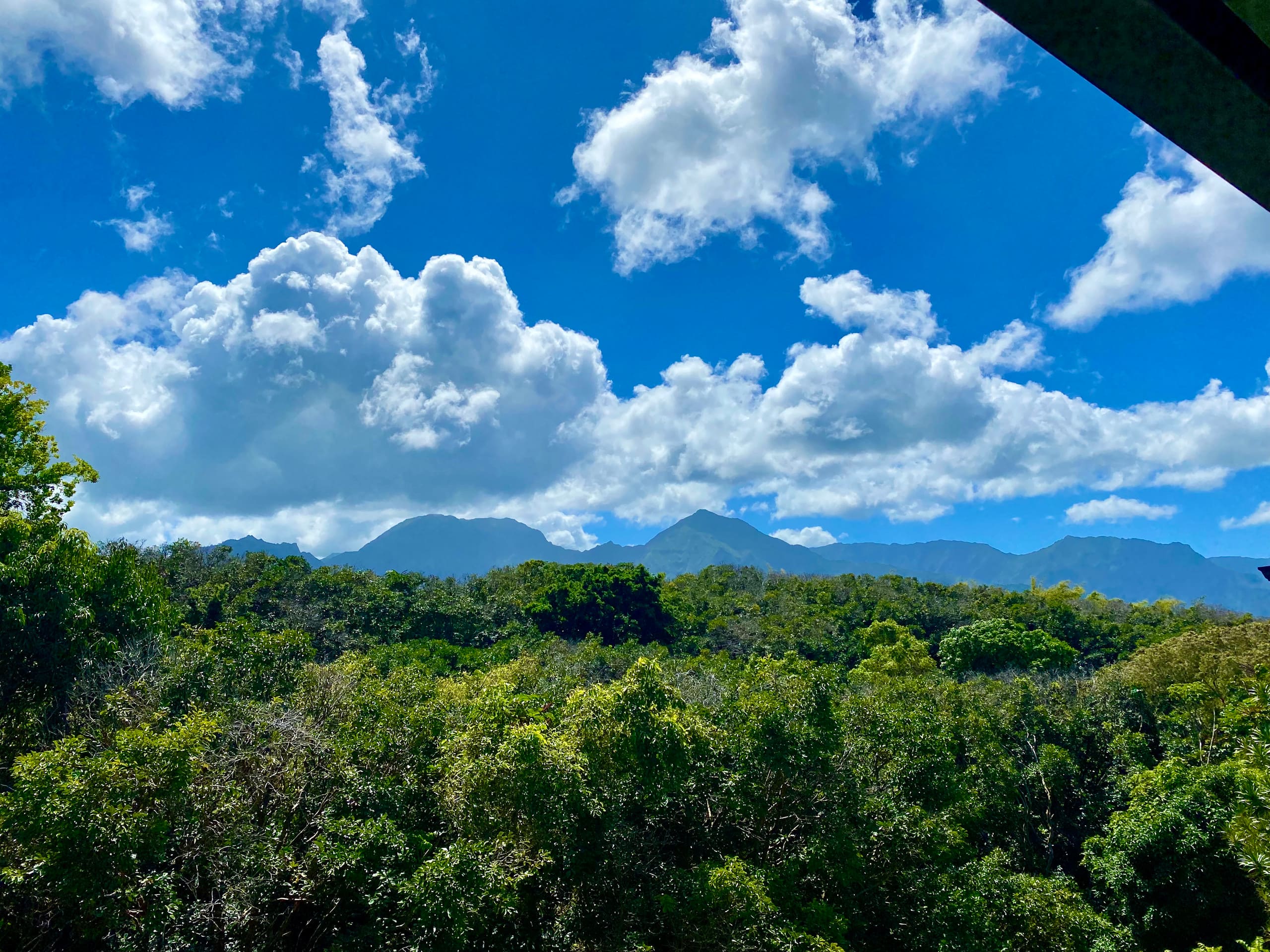 Princeville Paradise Cottage - Photo 18