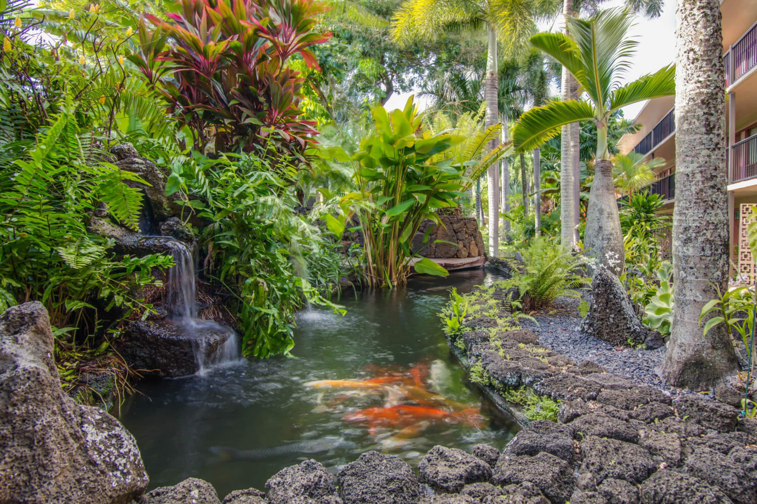 Steps from the best snorkeling beach on Kauai. - Photo 33