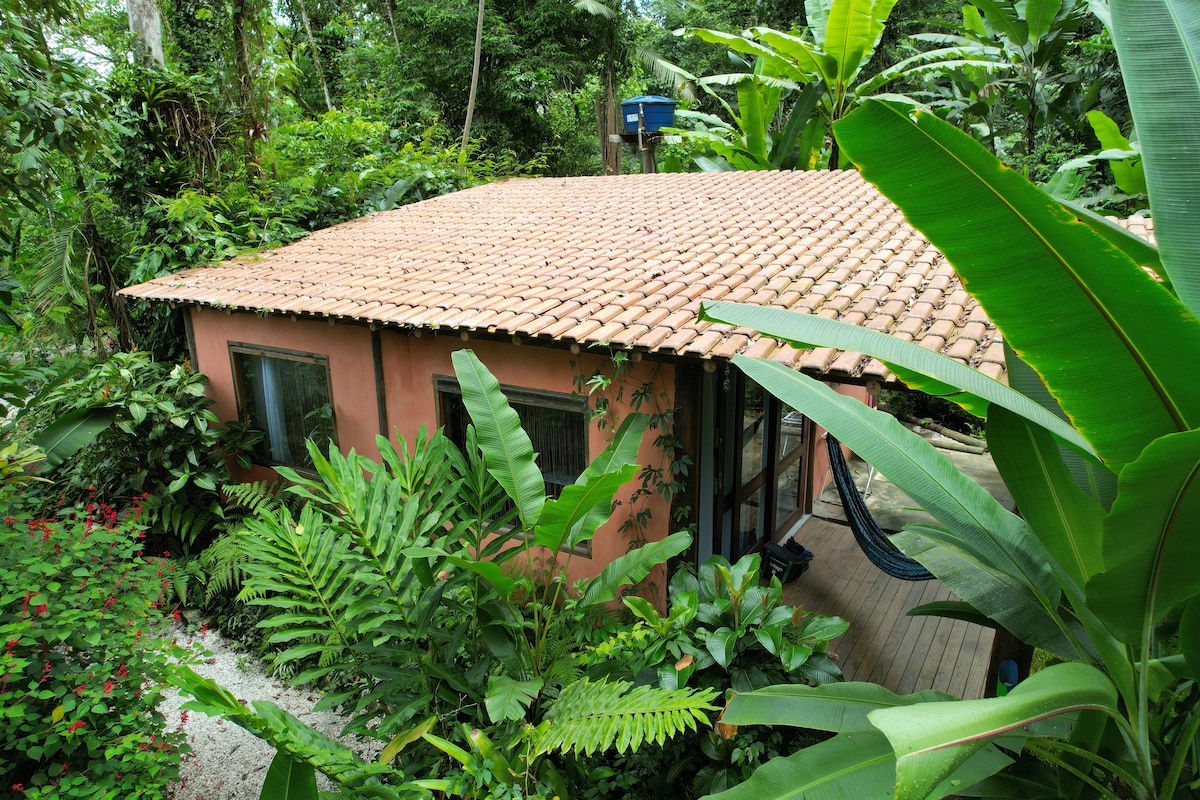 The rustic cabin is nestled among lush tropical vegetation, featuring a clay tile roof and large windows. Surrounding plants, including vibrant green leaves and colorful flowers, create a natural, secluded ambiance. A wooden deck is visible, complete with a hammock for relaxation.