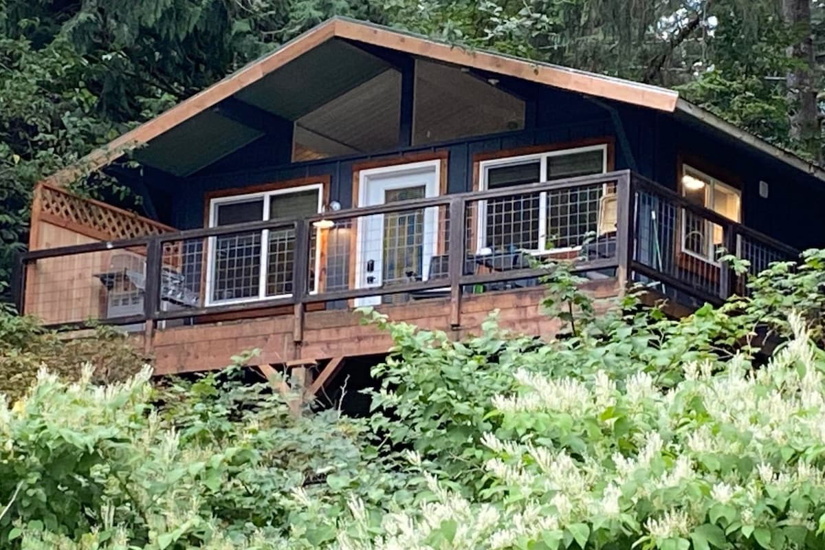 The cabin's exterior is framed by lush greenery, showcasing a raised deck with seating areas. Expansive windows invite natural light into the open space. The entry door is centered, offering a welcoming view amidst the surrounding forest.
