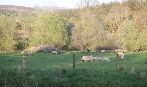 Pretty Studio in Private Courtyard Setting.