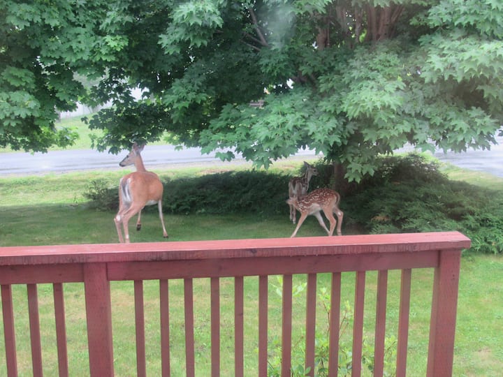 St. Andrews Vacation Rentals & Homes New Brunswick, Canada Airbnb