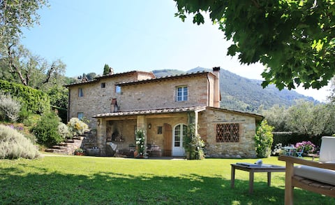 Villa among olive trees, Private pool