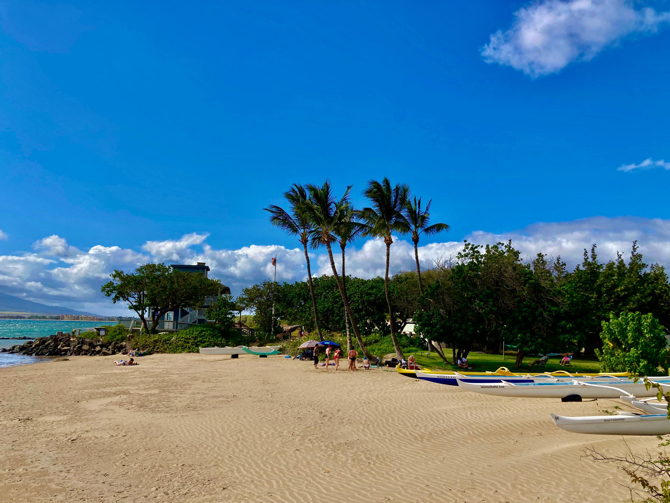 Condo in Kihei · ★4.89 · 2 bedrooms · 2 beds · 2 baths - Image 33